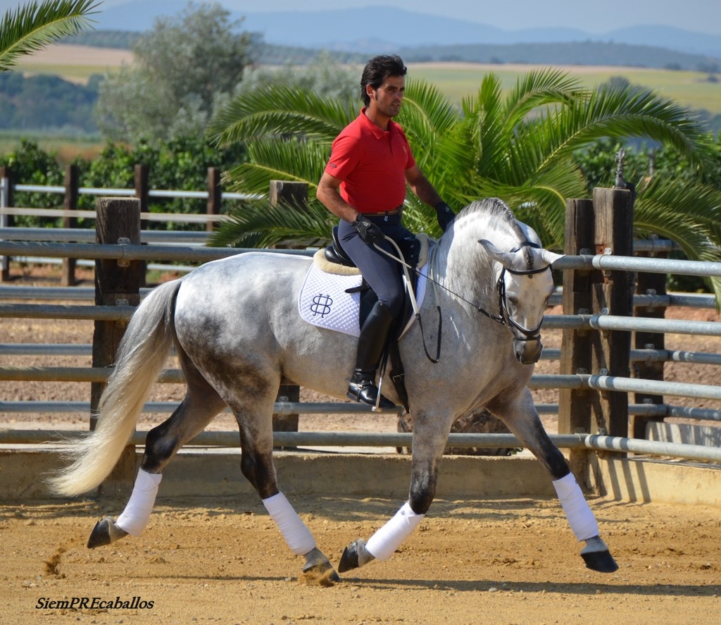 DSC 7666 Copiar