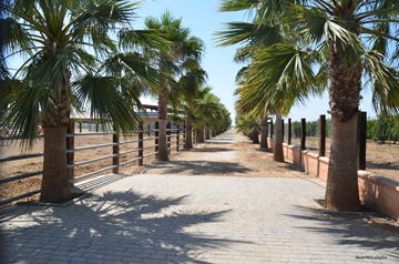 ENTRADA-PRINCIPAL-FINCA