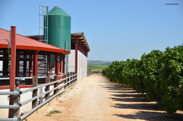 X-SILO-Y-ZONA-DE-SIEMBRA